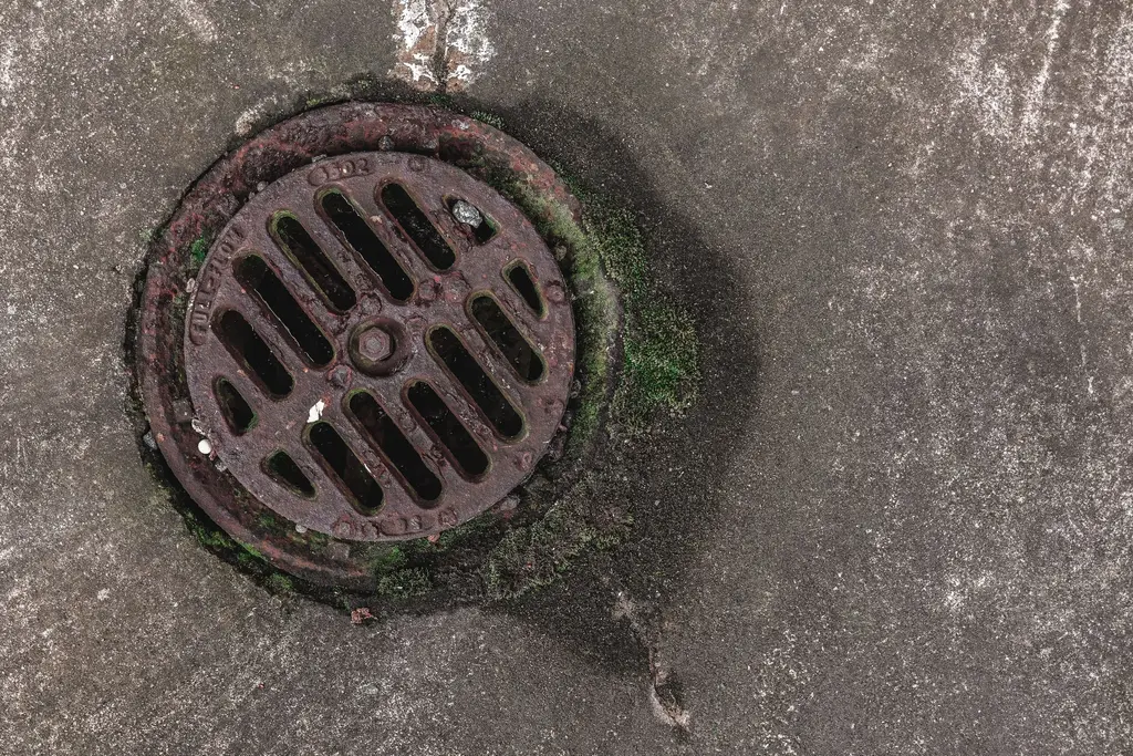 Cast-iron floor drain set in a concrete basement floor.